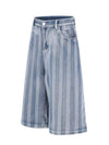 Riviera Stripe Denim Shorts — color or detail view 2