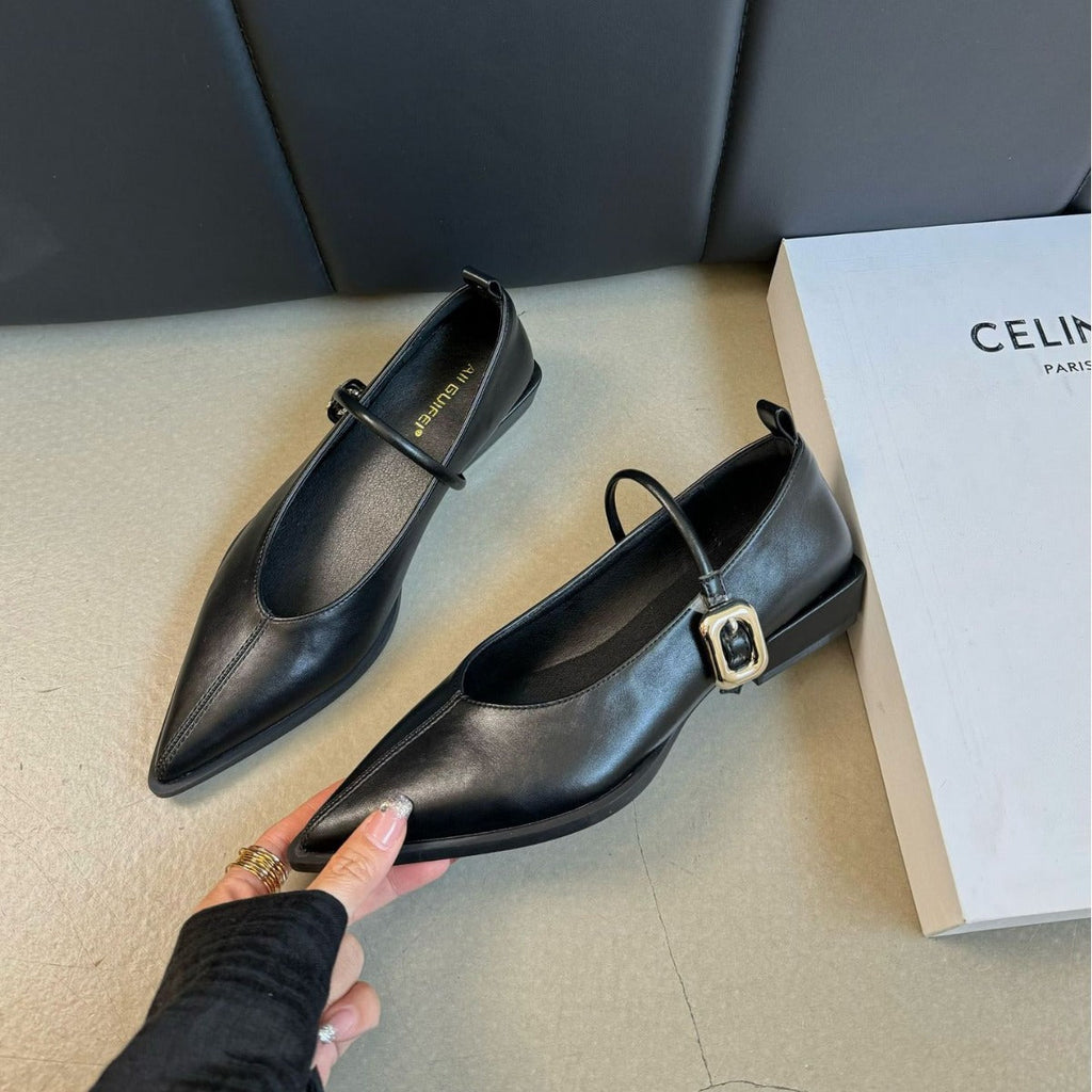 Women's Chunky Heel Mary Jane Shoes - French Retro Pointed Toe Buckle Dress Shoes