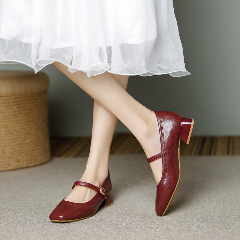 Mary Jane Chunky Heel Retro Buckle Strap Women's Shoes – Plus Size | Burgundy Black Apricot