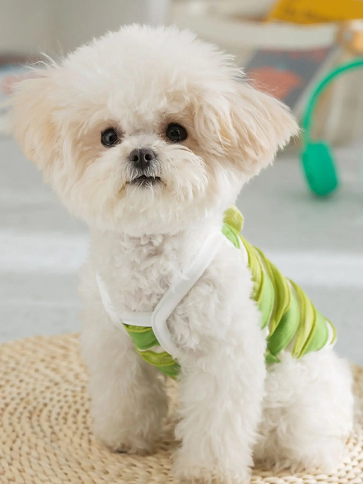 Striped Pet Shirt — photo 3