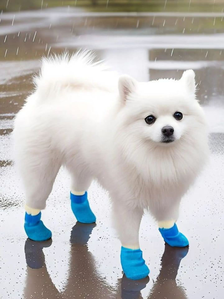 Pet Shoes — 4-Piece Set