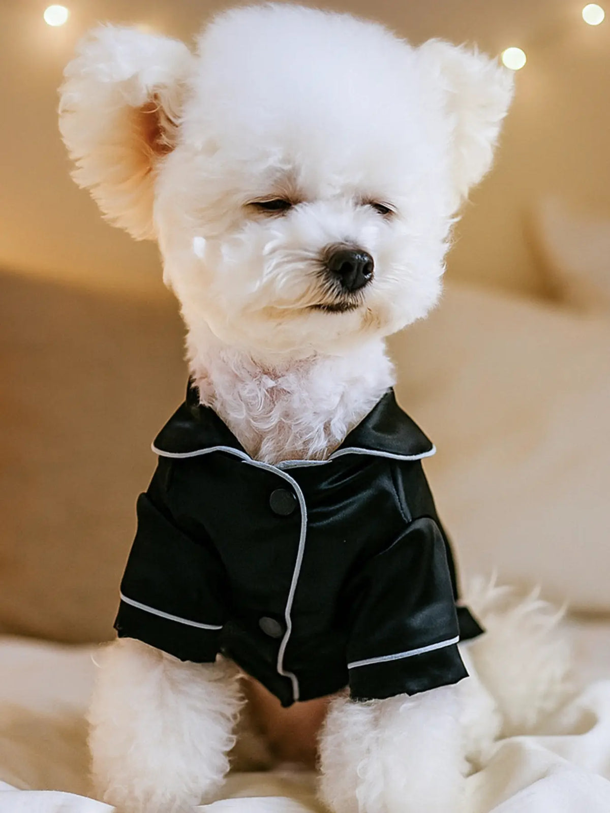 Contrast-Piping Satin Pet Pajamas — photo 16