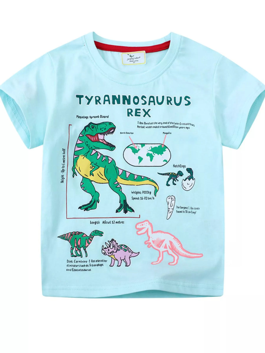 Kids’ Dinosaur Graphic Cotton T-Shirt — Aqua