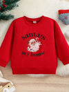Wildwood Christmas Santa's My Homie Graphic Sweatshirt — product view 1