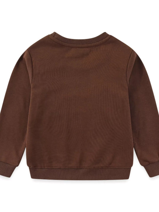Another view: Kids’ Embroidered Dinosaur Sweatshirt — Dark Brown