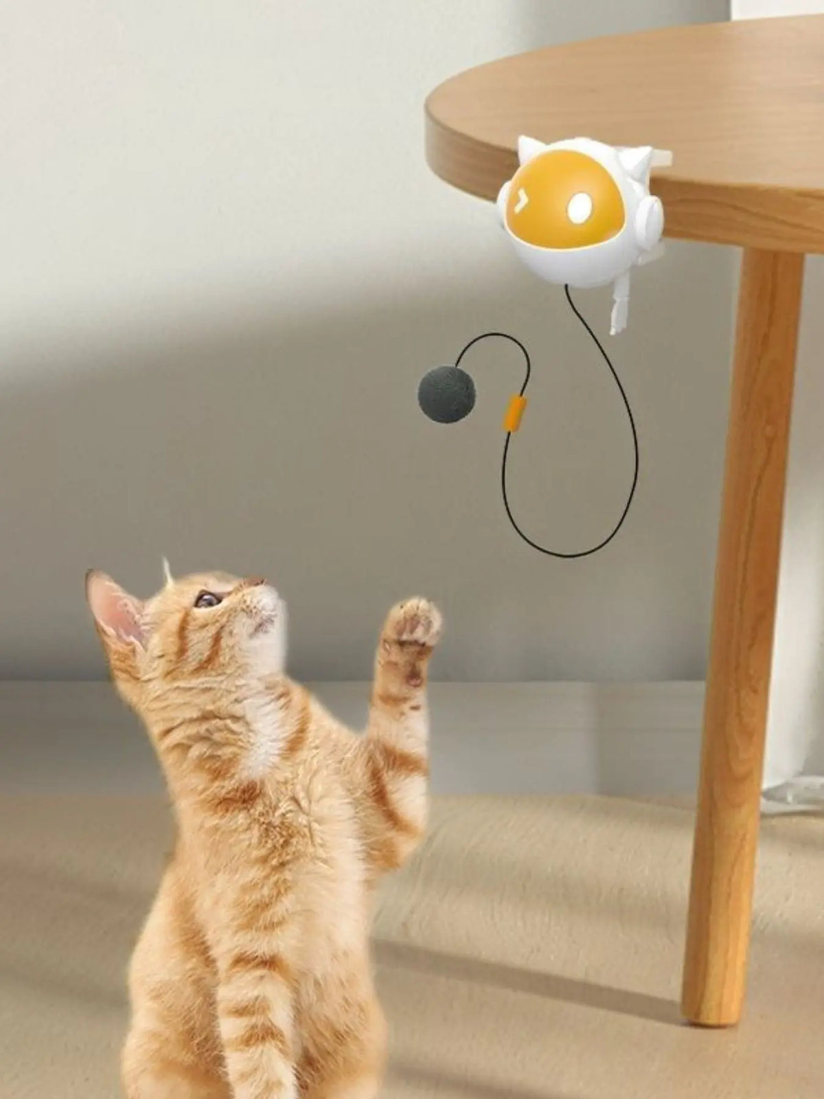 Hanging Cat Teaser Toy with Ball — photo 2
