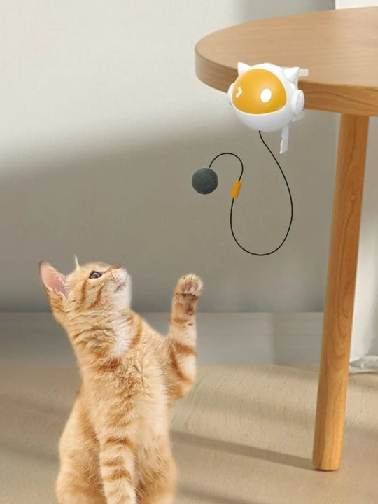 Another view: Hanging Cat Teaser Toy with Ball