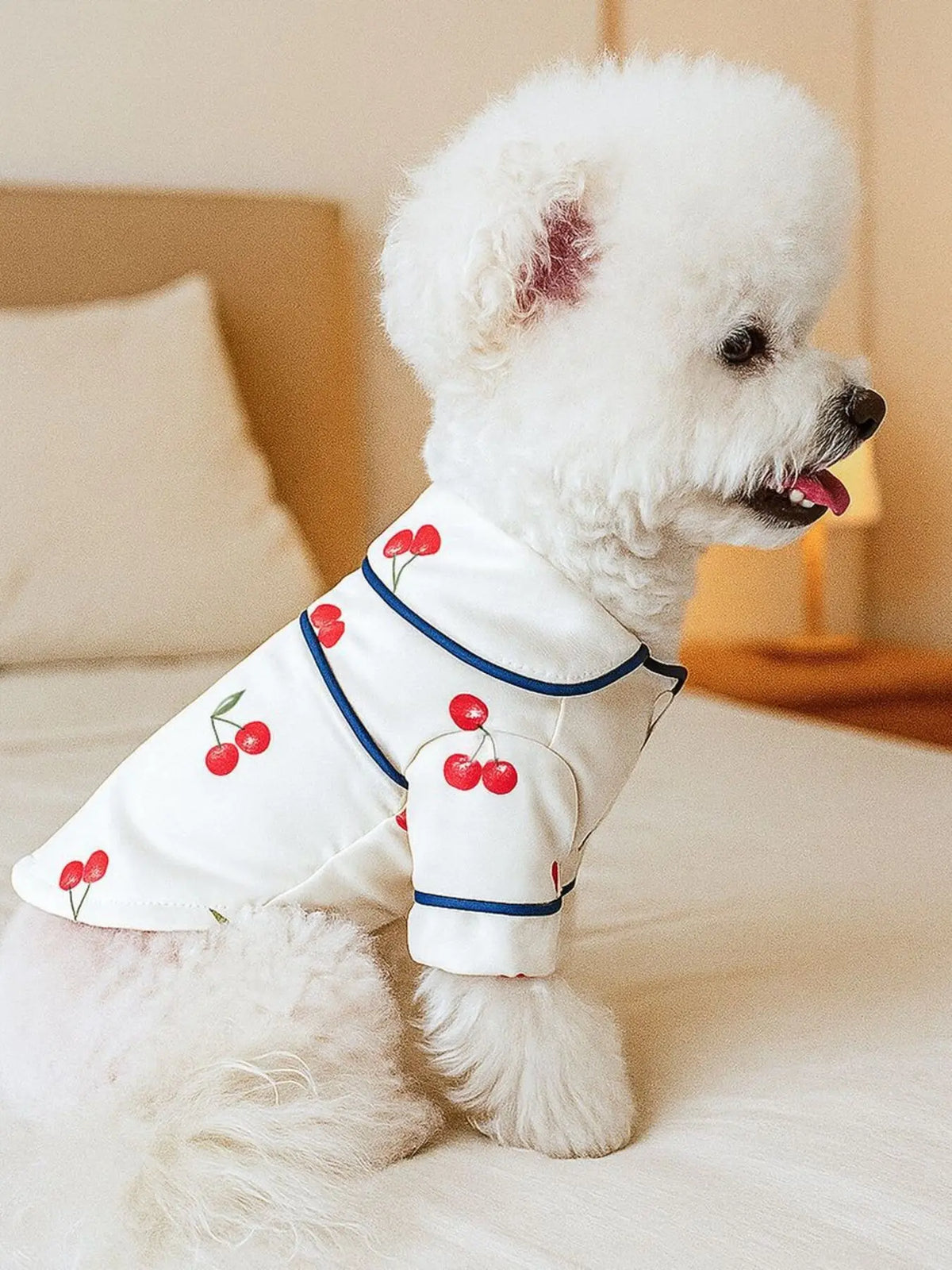 Contrast-Piping Satin Pet Pajamas — photo 11