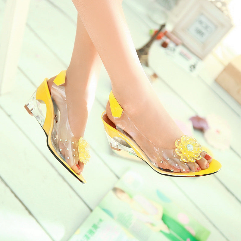 Women's Transparent Crystal Peep Toe High Heels - Summer Clear Sandals