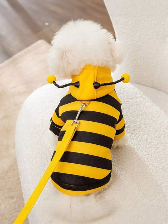 Another view: Soft Pet Hoodie with Stretch
