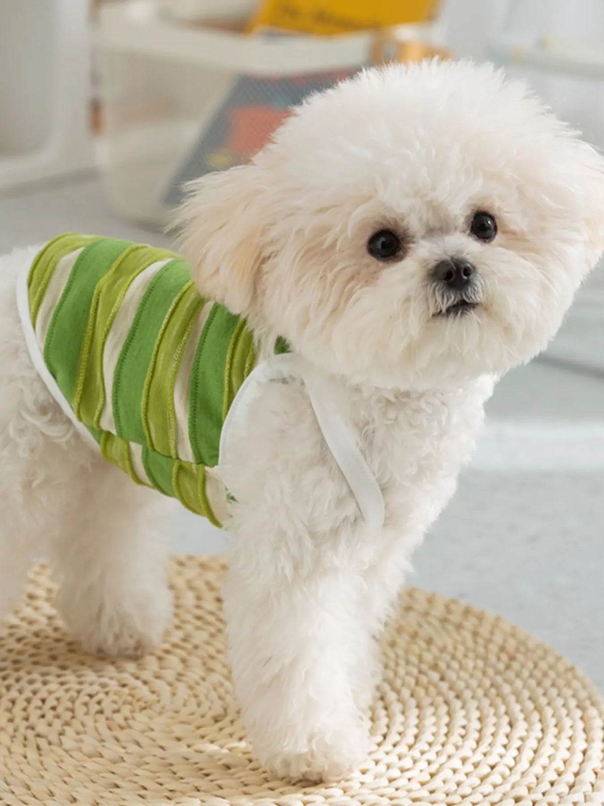 Striped Pet Shirt — photo 4