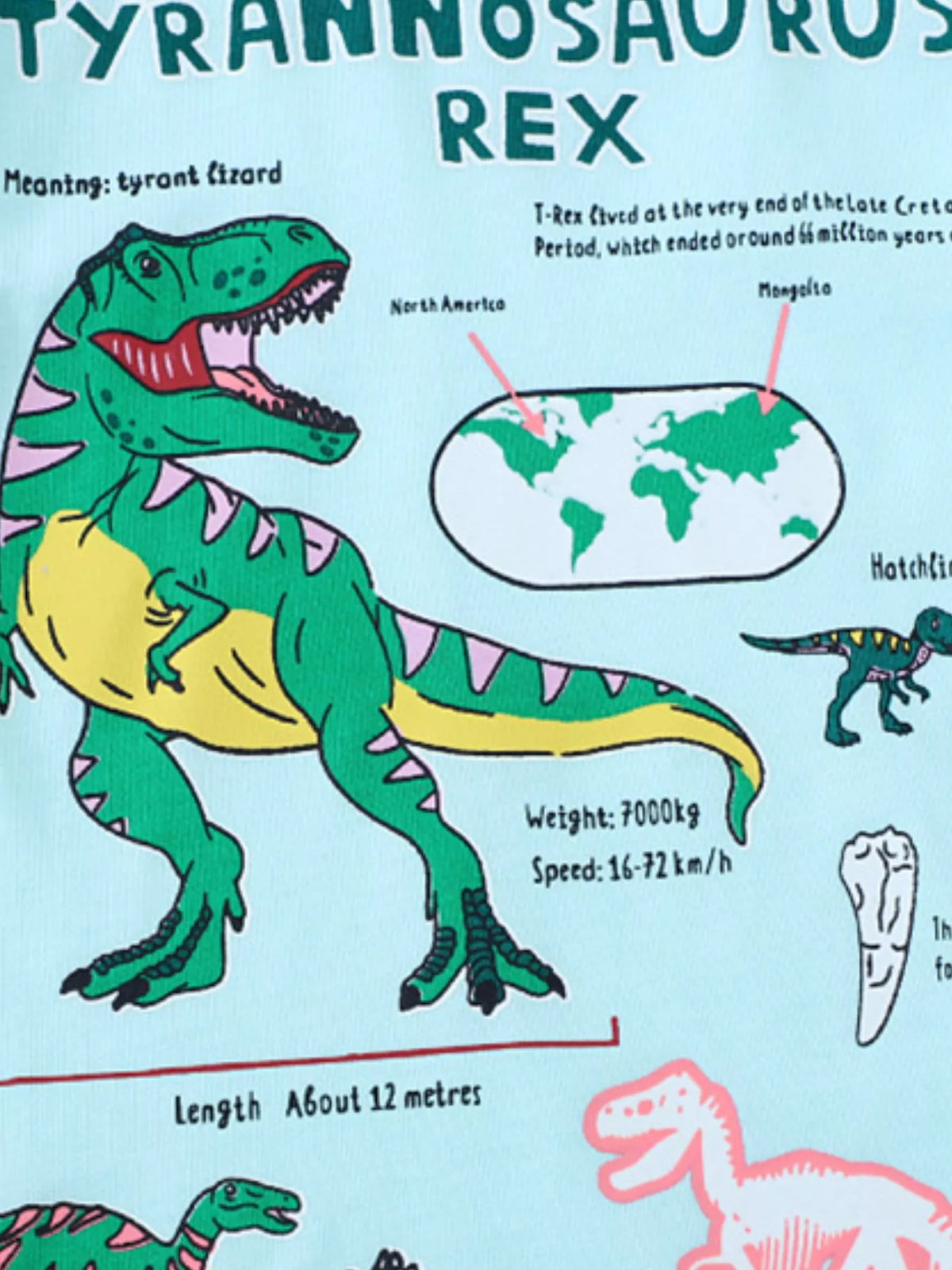 Kids’ Dinosaur Graphic Cotton T-Shirt — Aqua