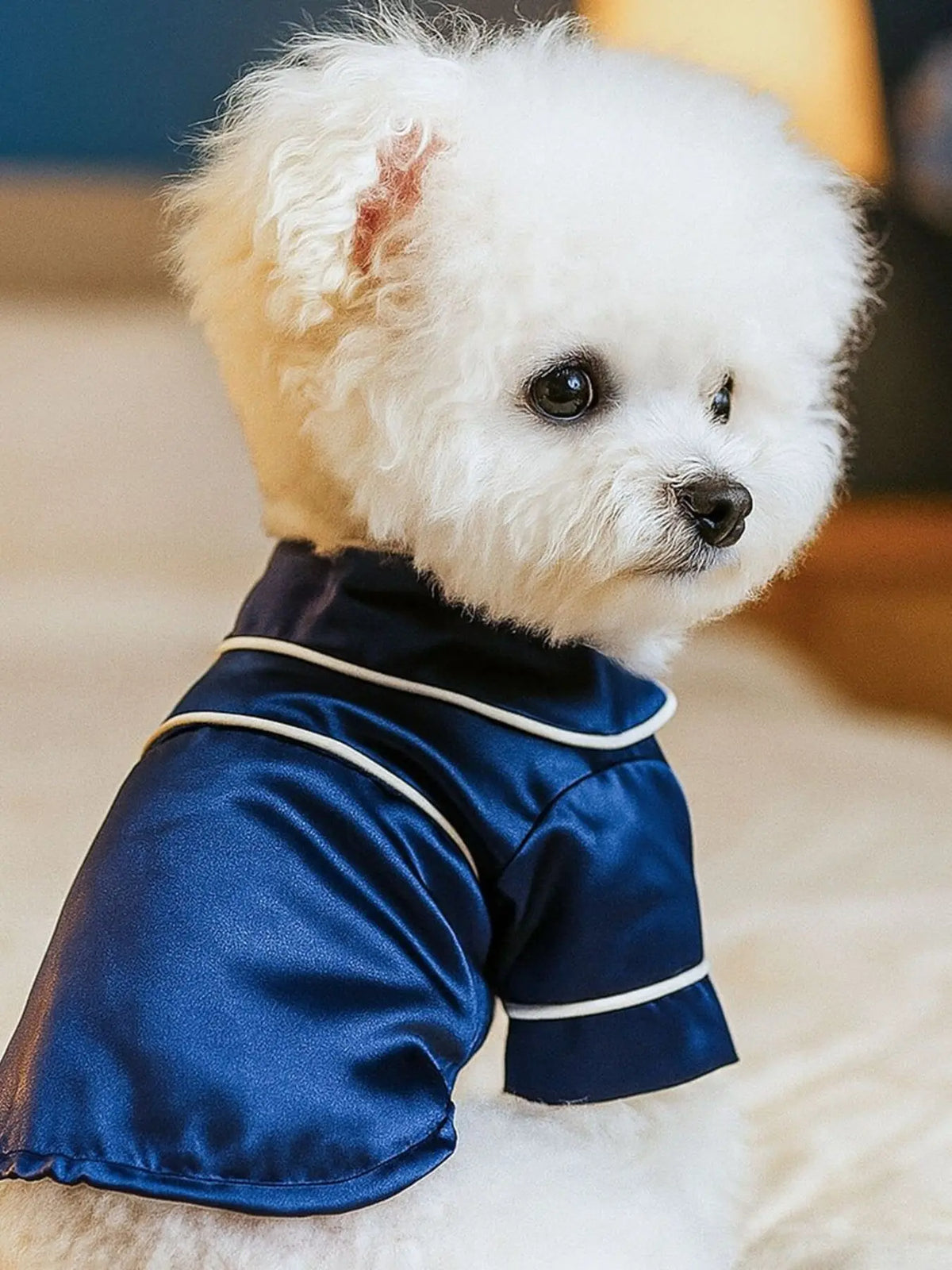 Contrast-Piping Satin Pet Pajamas — photo 9