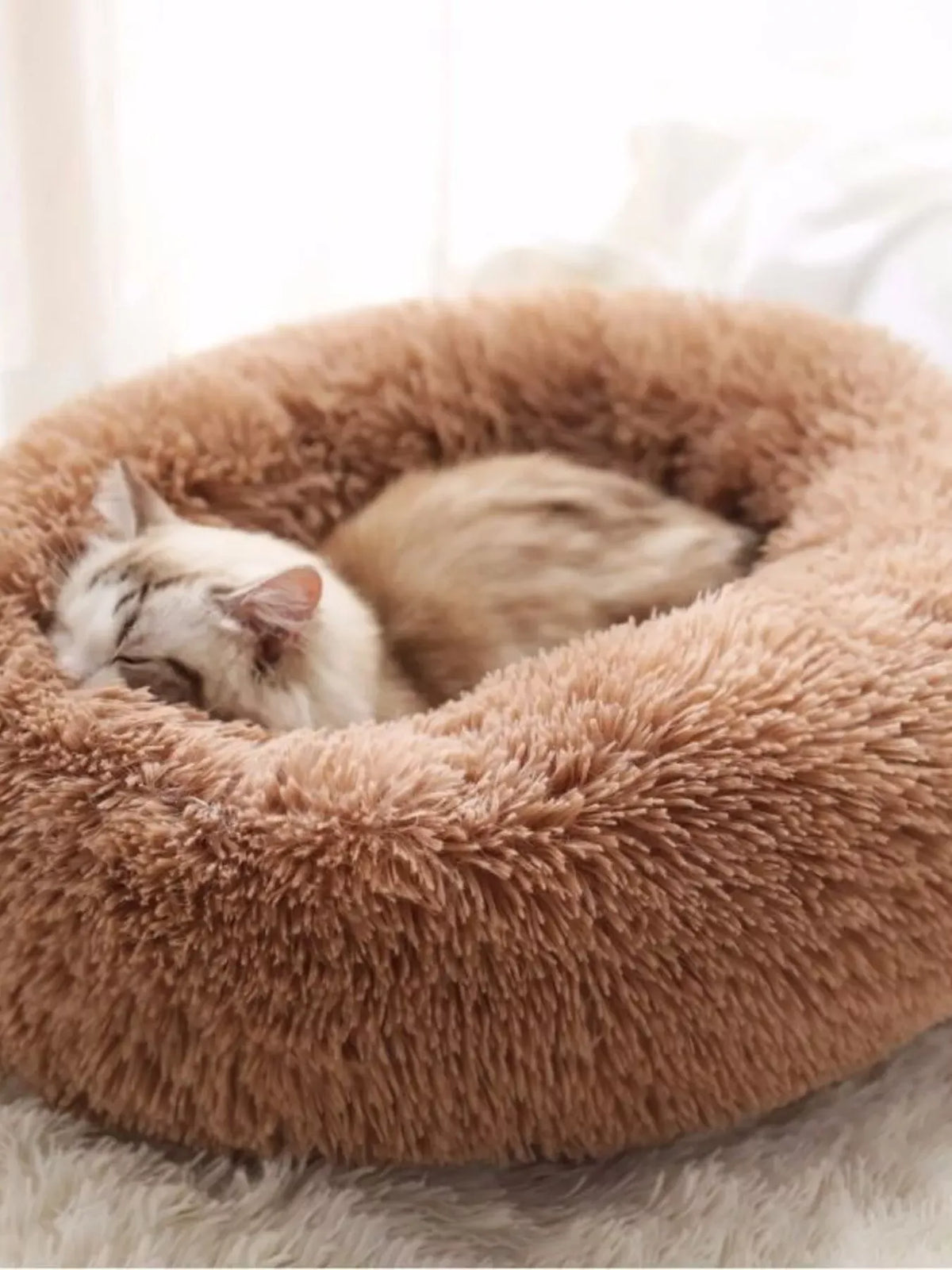 Fluffy Donut Pet Bed — photo 3