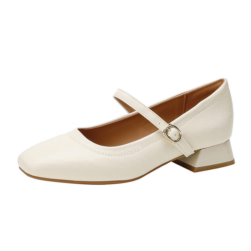 Mary Jane Chunky Heel Retro Buckle Strap Women's Shoes – Plus Size | Burgundy Black Apricot