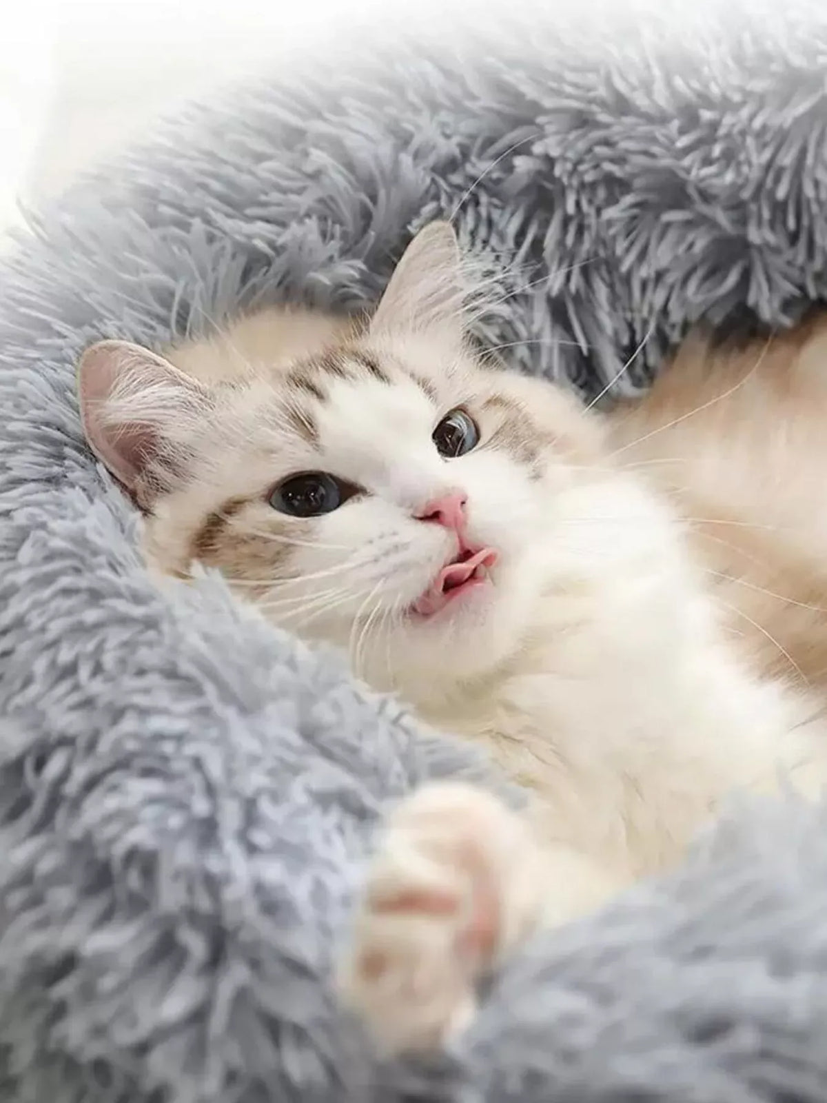 Fluffy Donut Pet Bed — photo 2