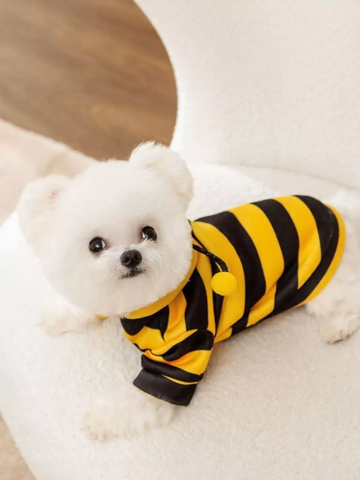 Soft Pet Hoodie with Stretch — photo 5