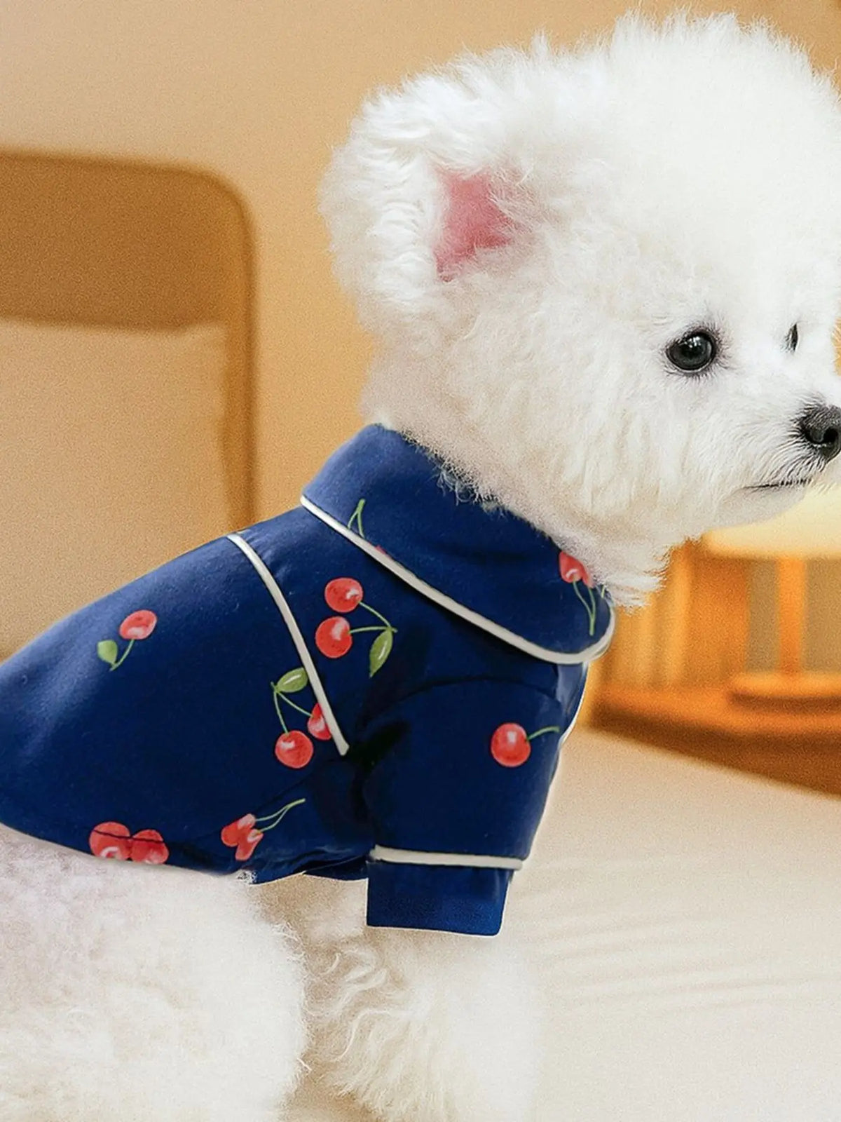 Contrast-Piping Satin Pet Pajamas — photo 5
