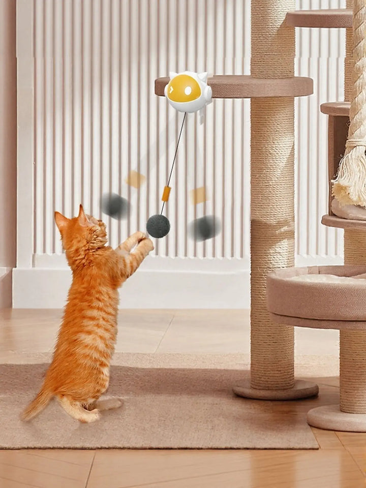 Hanging Cat Teaser Toy with Ball