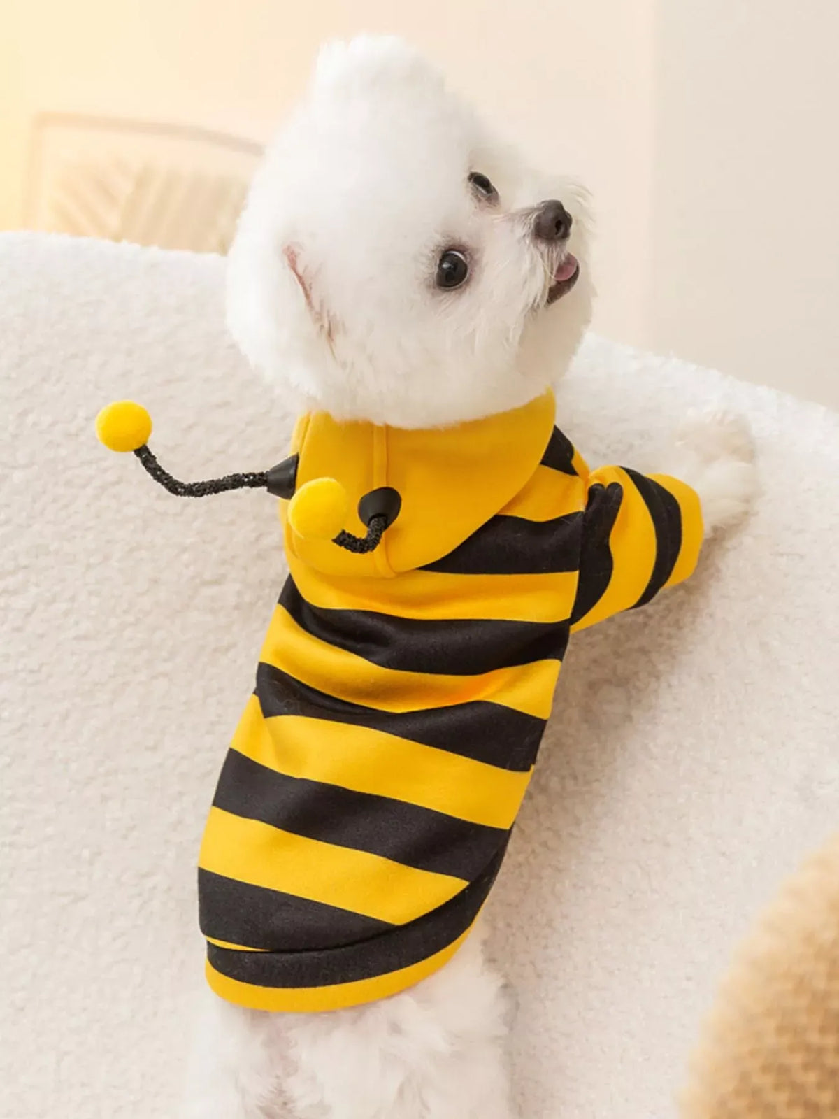 Soft Pet Hoodie with Stretch — photo 3