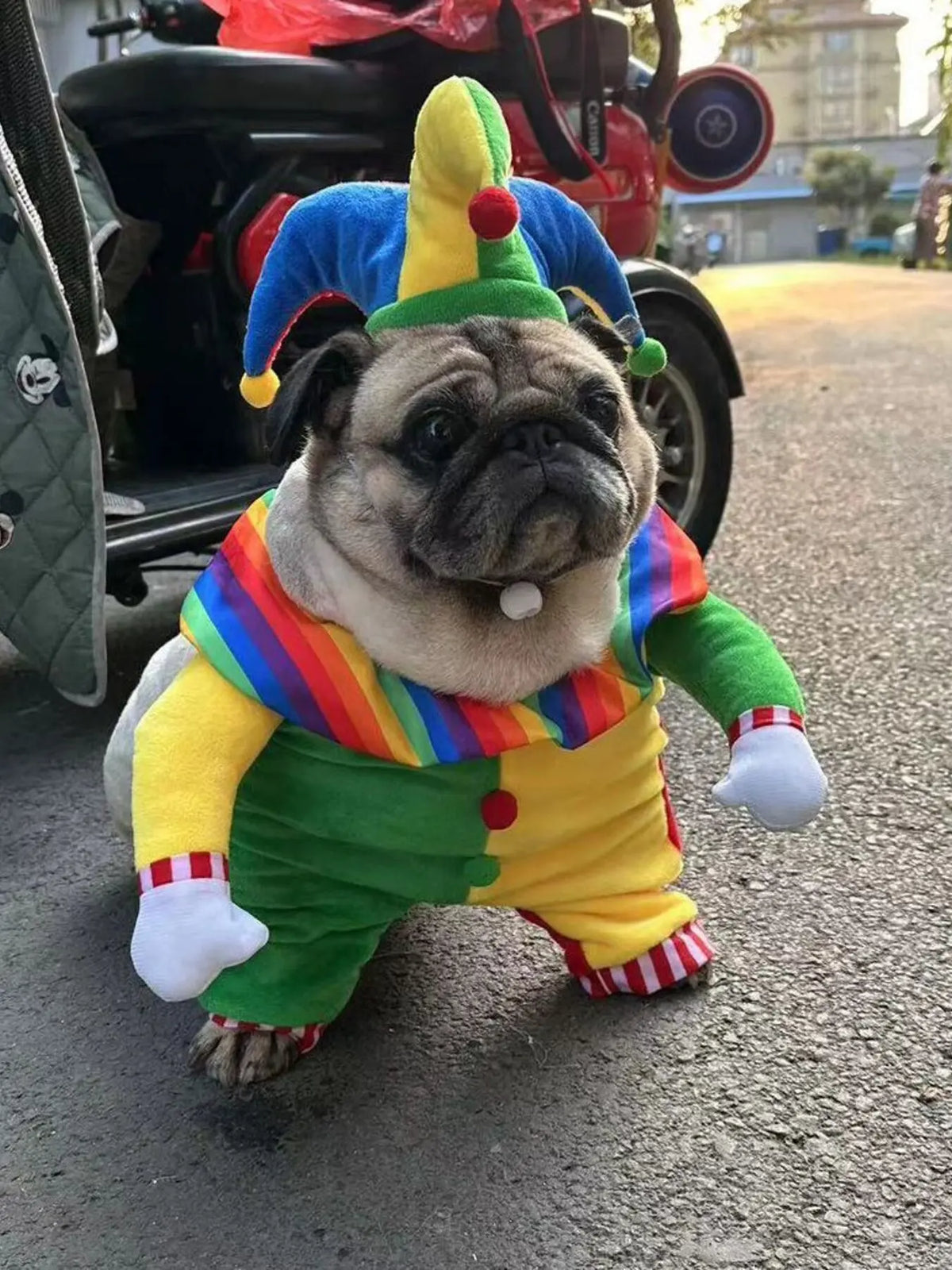 Clown Pet Costume with Hat — photo 1