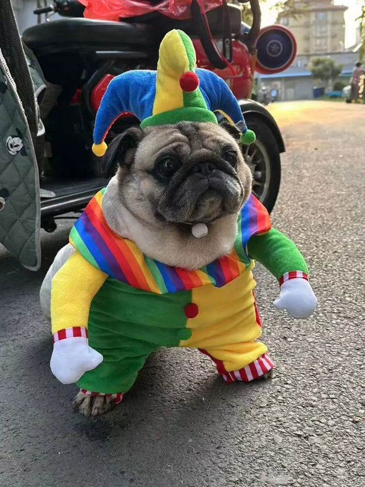 Clown Pet Costume with Hat