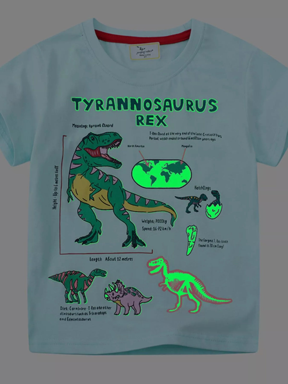 Kids’ Dinosaur Graphic Cotton T-Shirt — Aqua