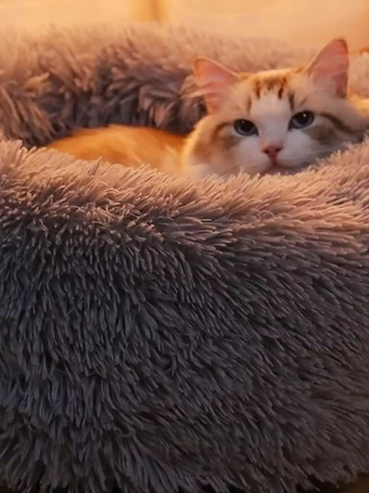 Fluffy Donut Pet Bed — photo 4